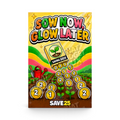 Sow Now Glow Later mini savings challenge insert – That Budget Lux