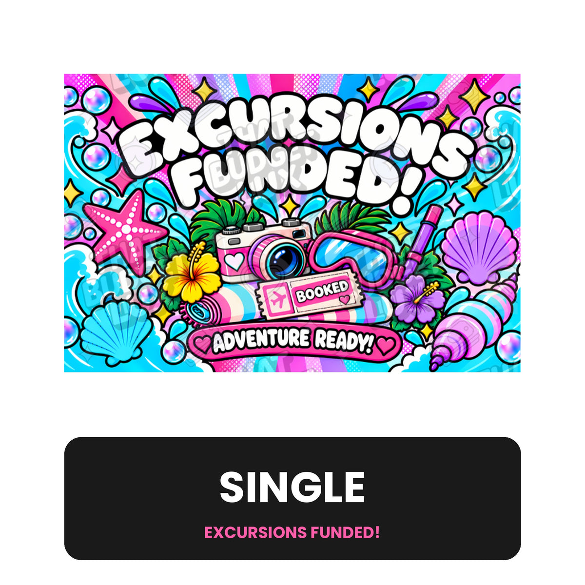 Excursions Fully Funded Placeholder | Cash Envelope Wallet Insert
